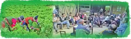 保山：发展特色产业 激发内生动力